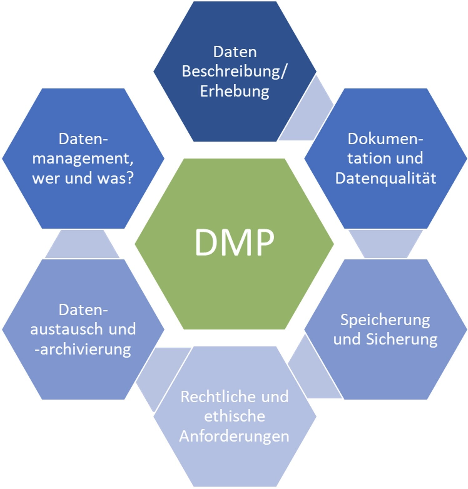 DMP Struktur